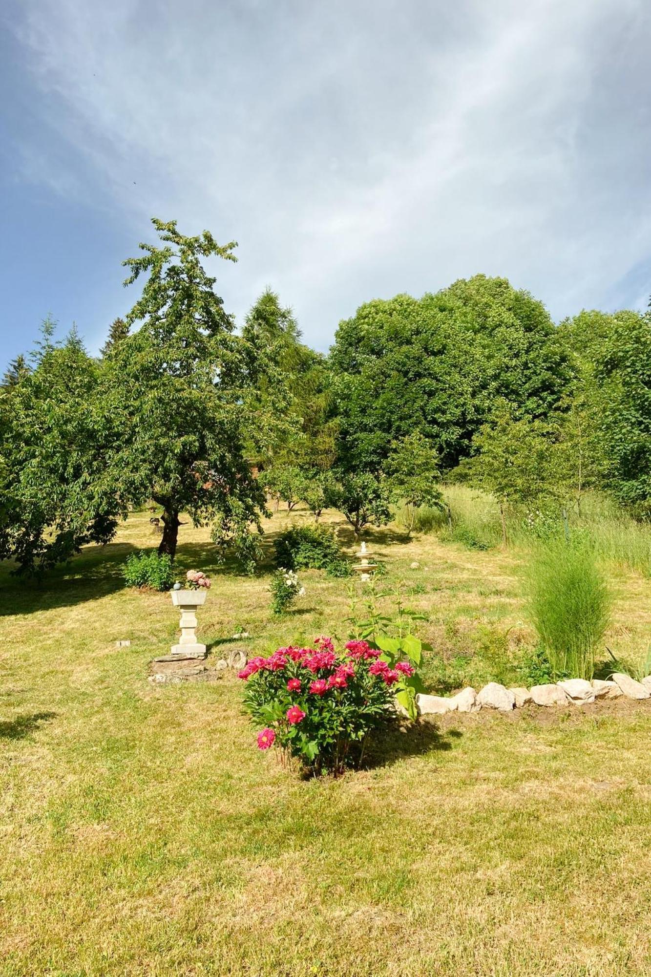 Golf Apartment Villa Elisabeth Mariánské Lázně Eksteriør billede